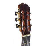 Martinez MM12 Guitarra Clasica Toda Maciza con Fondo y Aros de Palosanto