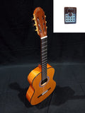 Nuevo modelo Guitarra Caro flamenca modelo 83 con previo DOUBLE MD100 ( OS2 )