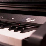 Piano Casio QP88C