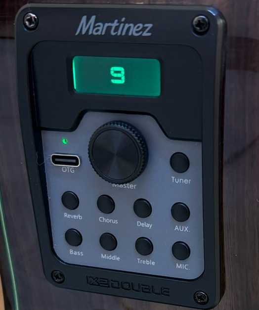 Previo para Guitarra X2 DOUBLE MD100