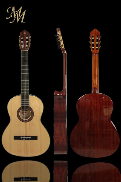Guitarra de estudio “ALMA” (C1)