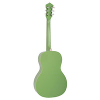 Guitarra Acústica Recording King RPS-7-GN Green
