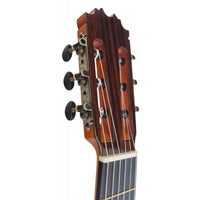 Antonio De Toledo Modelo ATF-17PM Guitarra Flamenca Negra de Palo Santo de Patagonia