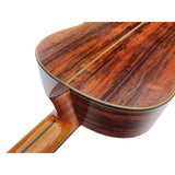 Antonio De Toledo Modelo ATF-17PM Guitarra Flamenca Negra de Palo Santo de Patagonia