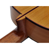 Martinez MF17 Guitarra Flamenca de Toda Maciza de Cipres (Nueva MFG-CS)