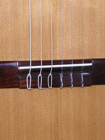 Guitarra clasica Azahar 102