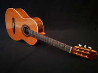 Guitarra Caro Mixta Clásica / Flamenca Modelo AL3