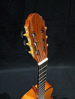 Nuevo modelo Guitarra Caro flamenca modelo 83