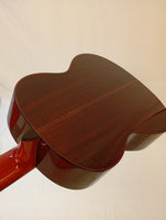 Guitarra Caro Flamenca en Palosanto de India Modelo FPL16