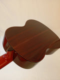 Guitarra Caro Flamenca en Palosanto de India Modelo FPL16