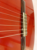 Guitarra Caro Flamenca en Palosanto de India Modelo FPL16