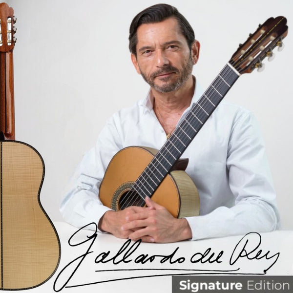 Guitarra clásica Antonio de Toledo de José María Gallardo del Rey