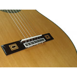 Guitarras Clásica de Antonio de Toledo  José María Gallardo del Rey de Patagonia