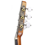 Guitarras Clásica de Antonio de Toledo  José María Gallardo del Rey de Patagonia