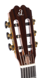 Guitarra Admira Stage Sombreada de Caja Estrecha con Reverb