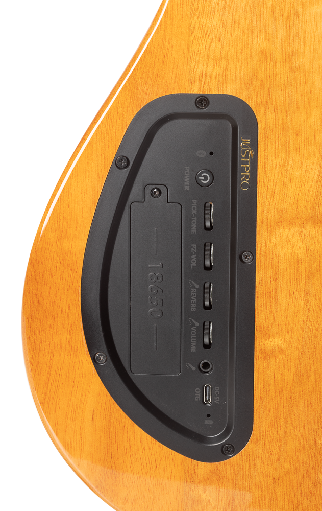 Panel trasero Admira Stage con reverb, volumen, PZ VOL, PICTONE, USB-C OTG y batería 18650