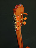 Antonio De Toledo Modelo ATF-17M Guitarra Flamenca de Arce Rizado