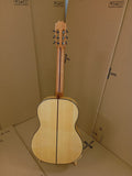 Guitarra José Rincón MF3 amplificada con MD100