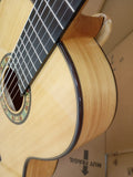 Guitarra José Rincón MF3 amplificada con MD100