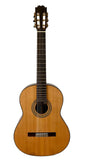 Guitarra Mixta clásica / flamenca nuevo modelo Taranta SCE