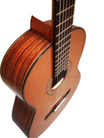 Guitarra Mixta clásica / flamenca nuevo modelo Taranta SCE
