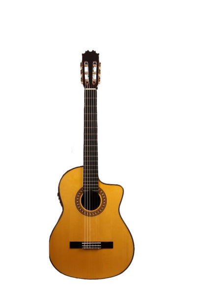 Antonio de Toledo 17 B EQ  CUTAWAY Fishman