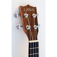 C380.093V Egmond Ukelele Soprano de Ebano