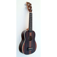 C380.093V Egmond Ukelele Concierto de Ebano
