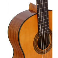 Guitarra Clasica Caro Estudio avanza Fondo de Sapeli con Tapa de Abeto - Acabado Brillo - Tamaño Cadete 3/4 tiro 580