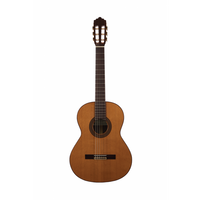 Guitarra Clásica Altamira N300+