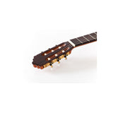 Guitarra Clásica Altamira N300+