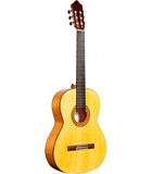Guitarra Flamenca Camps M-5S