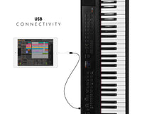 PIANO DE ESCENARIO ARTESIA PE-88 NEGRO